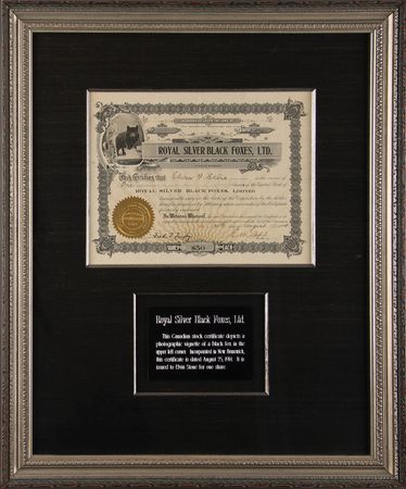 Lot #291 Royal Silver Black Foxes Stock Certificate - Image 1