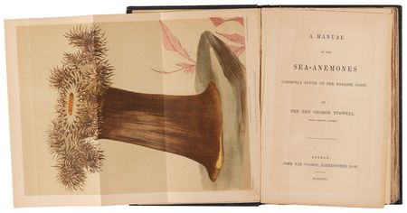 Lot #169 Aquatic Interest Books: A Manual of the Sea-Anemones and The Family Aquarium Books - Image 2