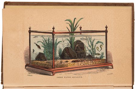 Lot #169 Aquatic Interest Books: A Manual of the Sea-Anemones and The Family Aquarium Books - Image 4