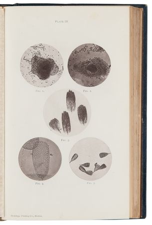 Lot #173 Photo-Micrographs and How to Make Them by George M. Sternberg - Image 5