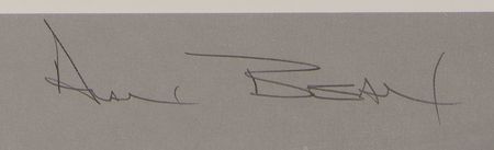 Lot #369 Alan Bean Signed Limited Edition Lithograph - 'Too Beautiful to Have Happened by Accident' - Image 3