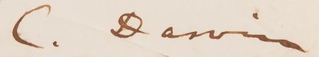 Lot #1062 Charles Darwin Autograph Letter Signed on 'On the Origin of Species' and 'Voyage of the Beagle' - Image 2