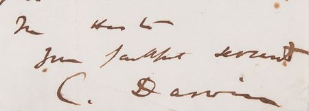 Lot #4010 Charles Darwin Autograph Letter Signed on 'On the Origin of Species' and 'Voyage of the Beagle' - Image 2