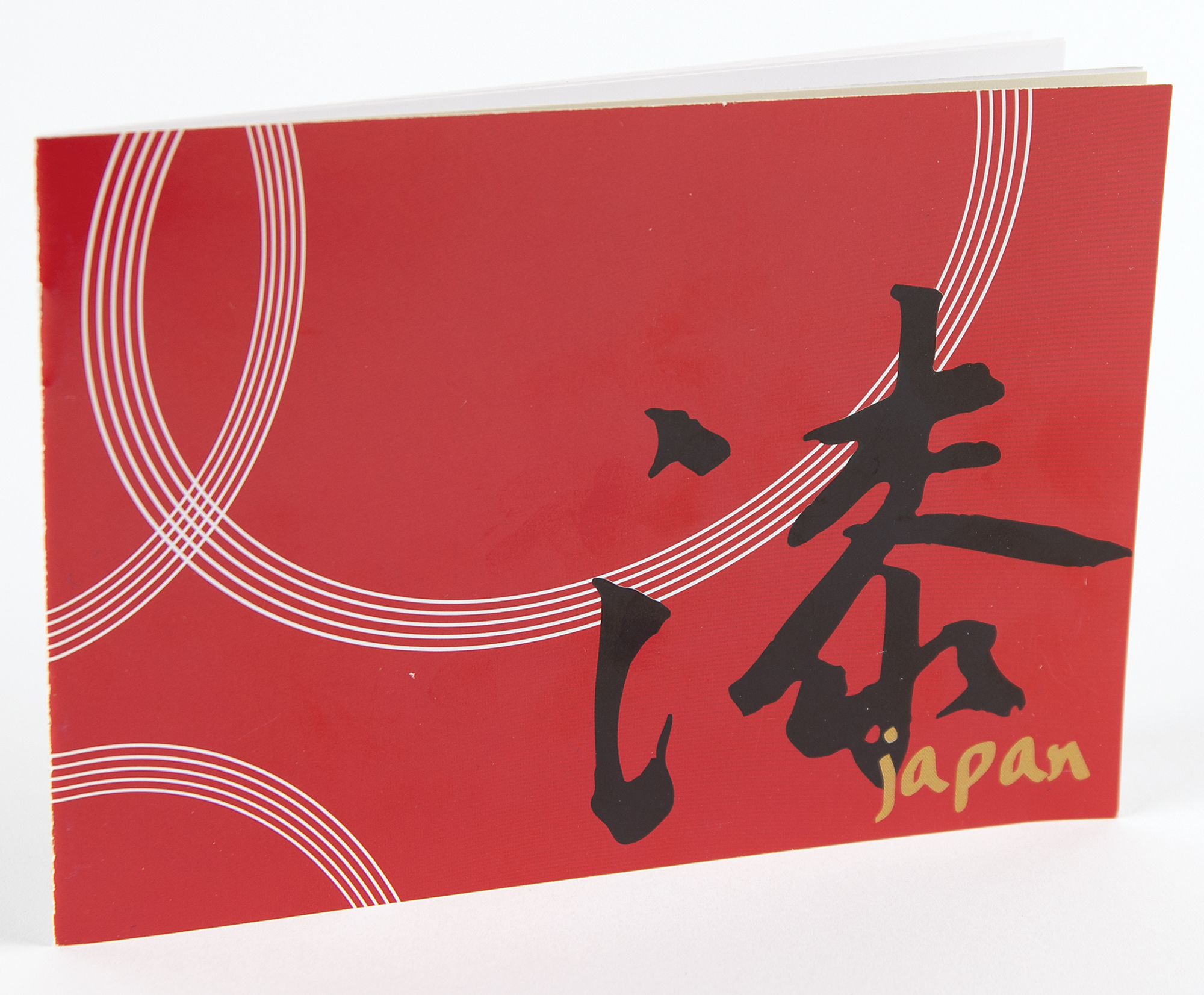 Nagano 1998 Winter Olympics Bronze Winner's Medal for Ski Jumping | RR