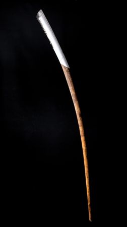 Lot #3020 Lillehammer 1994 Winter Olympics Torch