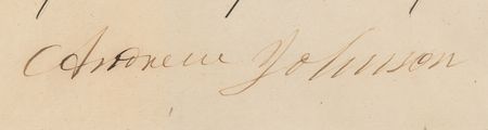 Lot #191 Andrew Johnson Partial Document Signed - Image 3