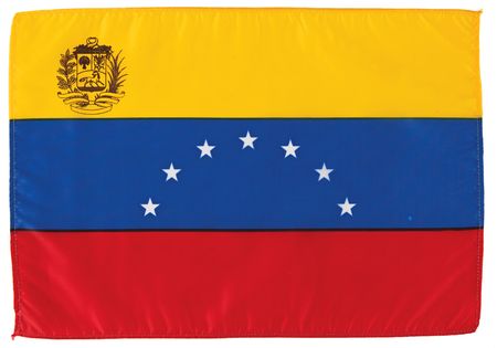 Lot #87 Jimmy Carter's 2004 Venezuela Recall Election 'International Observer' Badge - Image 4