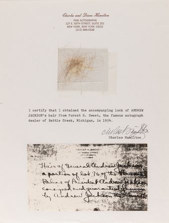 Lot #189 Andrew Jackson Hair Strands from Charles Hamilton - Image 1