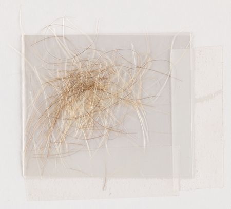 Lot #189 Andrew Jackson Hair Strands from Charles Hamilton - Image 2