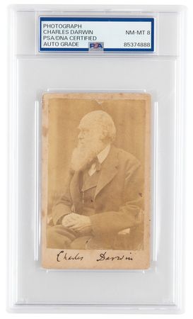 Lot #4084 Charles Darwin Signed Photograph - One of His Favorite Portraits - PSA NM-MT 8 - Image 1