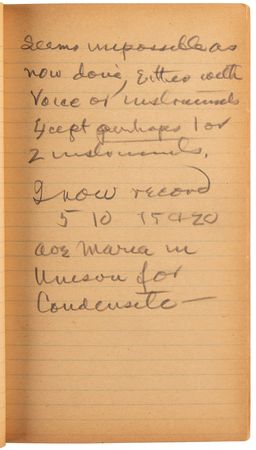 Lot #4085 Thomas Edison's Handwritten 