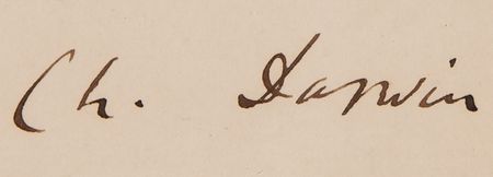 Lot #233 Charles Darwin Autograph Letter Signed to an Athenaeum Club Member - Image 2