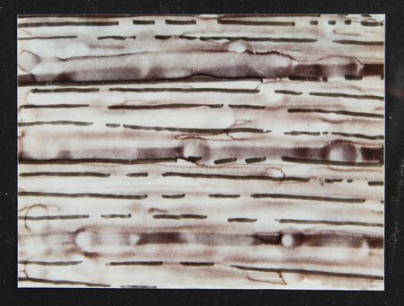 Lot #6150 Apple Chiat/Day Storyboard Photostat Display for the ?1984? Macintosh Television Commercial - From the Collection of Clement Mok - Image 8