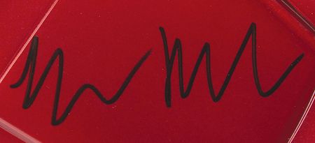 Lot #271 Elon Musk Signed Tesla Roadster R/C Car - Image 3