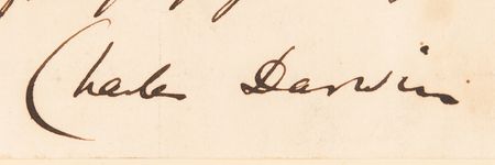 Lot #280 Charles Darwin Autograph Letter Signed on 