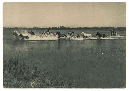 Lot #512 Pablo Picasso Signed Sketch on Postcard to Man Ray - 