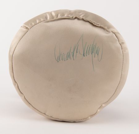 Lot #199 Donald Trump Signed BMW Pillow - Image 1
