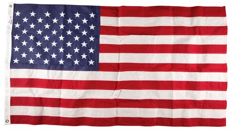 Lot #201 Donald Trump 2025 U.S. Capitol-Flown Inauguration Flag - Image 1