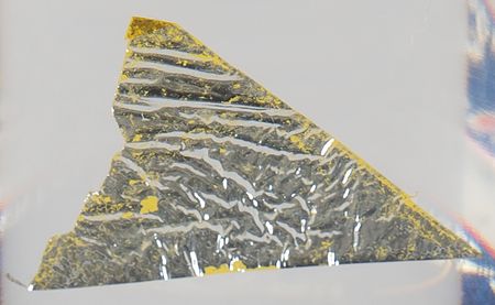 Lot #7117 Apollo 9 Flown Kapton Foil - Image 2