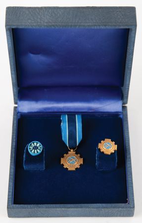 Lot #7318 NASA Distinguished Service Medals and Diploma - From the Personal Collection of Edgar Mitchell - Image 3