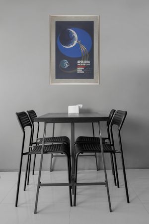 Lot #7291 Apollo 14 Signed Print (Ltd. Ed. #33/100) - Image 4