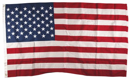 Lot #191 Donald Trump 2025 U.S. Capitol-Flown Inauguration Flag - Image 1