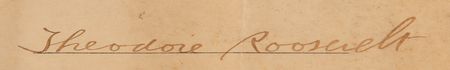Lot #162 Theodore Roosevelt Document Signed as President - Image 2