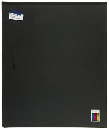 Lot #9321 Delaney & Bonnie 'Home' Album Art Outtake Proof Photograph by Barry Feinstein - Image 3