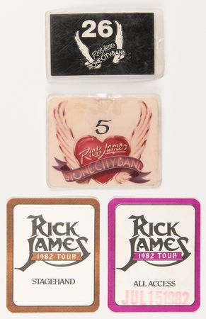 Lot #9425 Rick James: Lisa Sarna's Backstage Passes and Ephemera - Image 3
