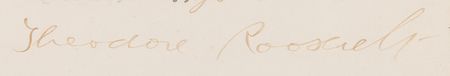Lot #18 Theodore Roosevelt Typed Letter Signed to Franklin D. Roosevelt, Signed 