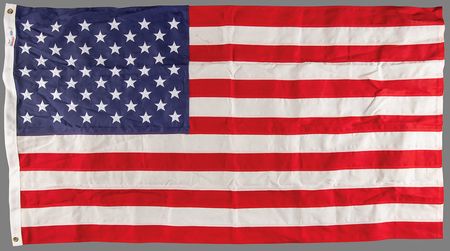 Lot #145 Donald Trump 2025 U.S. Capitol-Flown