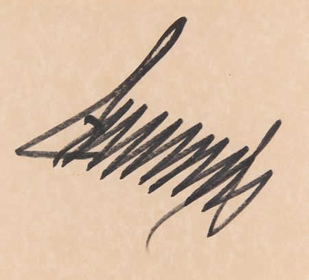 Lot #133 Donald Trump Signed Book - The Art of the Comeback - Image 2