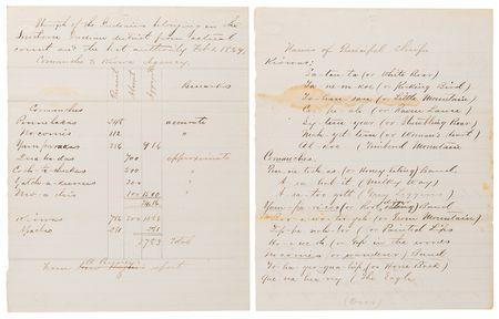 Lot #8080 Comanche and Kiowa Reservation Census Report (c. 1869) - Image 1