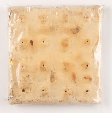 Lot #373 Spanish-American War: Hardtack from Camp Meade - Image 2