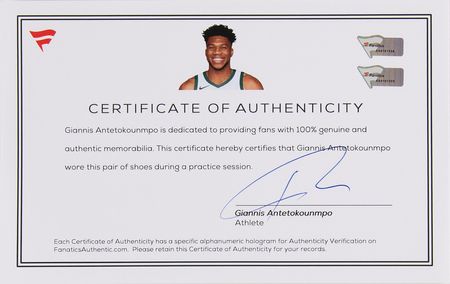 Lot #773 Giannis Antetokounmpo Practice-Worn Basketball Sneakers (2020-2021) - Image 7