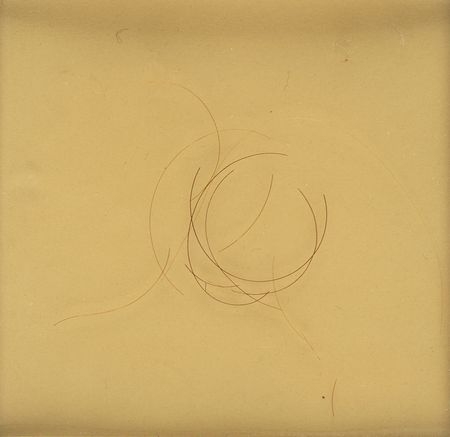 Lot #28 Abraham Lincoln: Hair Strands and Towel Used to Staunch the Flow of Blood at Ford's Theater - Image 2