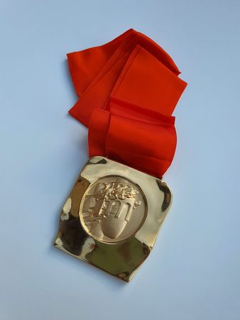 Lot #3099 Sarajevo 1984 Winter Olympics Unawarded Gold Winner's Medal - Image 2