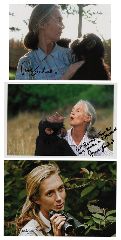 Lot 174 Jane Goodall (3) Signed Photographs