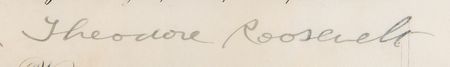 Lot #96 Theodore Roosevelt Document Signed as President - Image 2