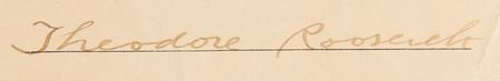 Lot #98 Theodore Roosevelt - Image 3