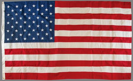 Lot #110 Donald Trump 2025 U.S. Capitol-Flown Inauguration Flag - Image 1