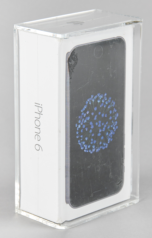 Lot 6074 Apple iPhone 6 (8th Generation, Sealed - 32GB) Space Gray Version - CAS 80