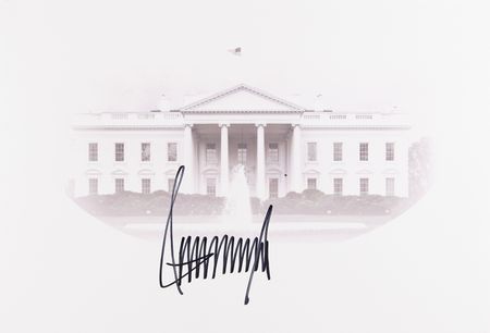 Lot #134 Donald Trump Oversized Signed Print - Image 1
