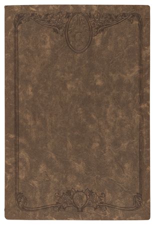 Lot #336 Chief Low Dog Original Photograph by D. F. Barry - Image 2