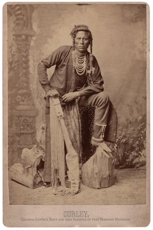 Lot #233 Curly, Crow Scout Original Cabinet Photograph by D. F. Barry - 