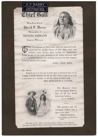 Lot #335 Chief Gall Original Photograph by D. F. Barry - Image 3