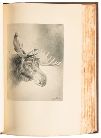 Lot #19 Theodore Roosevelt Signed Book as President - The Wilderness Hunter (Alleghany Edition) - Image 7