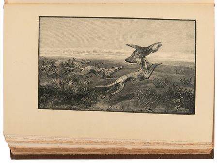 Lot #20 Theodore Roosevelt Signed Book - Hunting Trips of a Ranchman (Alleghany Edition) - Image 6