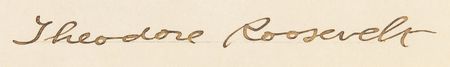 Lot #121 Theodore Roosevelt Document Signed as Governor of New York - Image 2