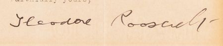 Lot #17 Theodore Roosevelt Typed Letter Signed - Image 3